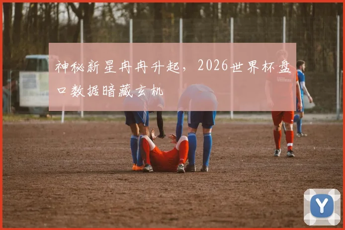 神秘新星冉冉升起，2026世界杯盘口数据暗藏玄机