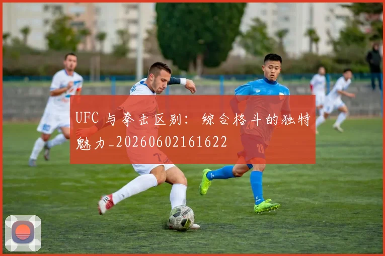 UFC 与拳击区别：综合格斗的独特魅力_20260602161622