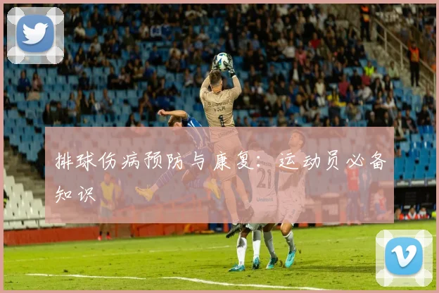 排球伤病预防与康复:运动员必备知识